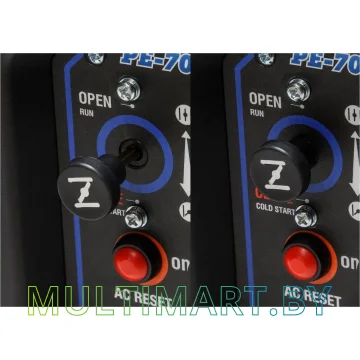 Бензиновый генератор ECO PE-7000RSI картинка 8